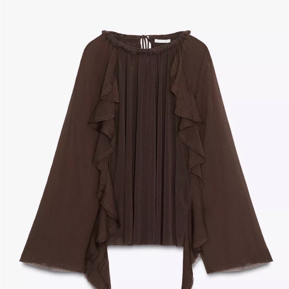 ZARA Brown Ruffled Long Sleeve Blouse